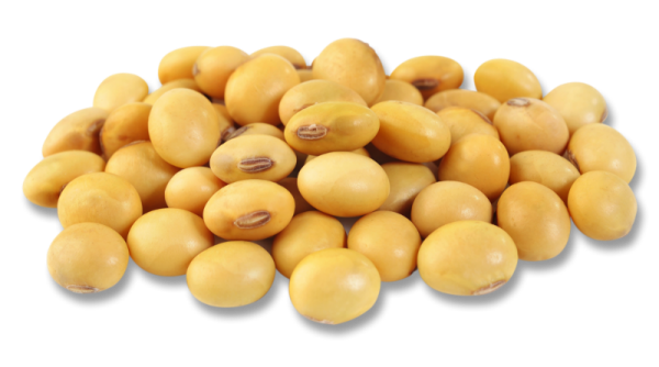 進(jìn)口大豆需要什么手續(xù)和報(bào)關(guān)資料？